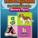 Nelson Yoruba Ajumoka NS 3_COVER